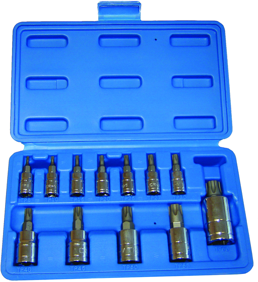 SOCKET/BIT STAR PLUS 12 PC