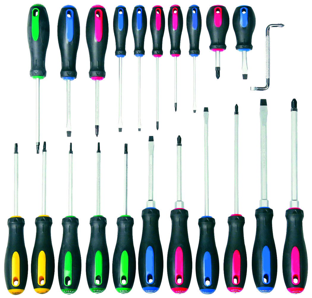 22PC SCREWDRIVER SET WITH DOUBLE-