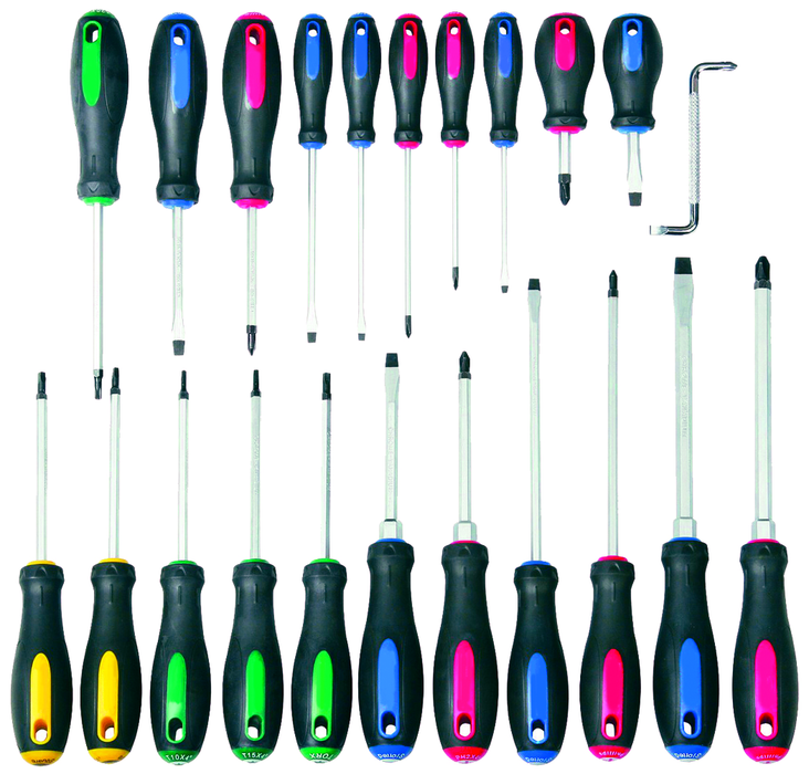 22PC SCREWDRIVER SET WITH DOUBLE-